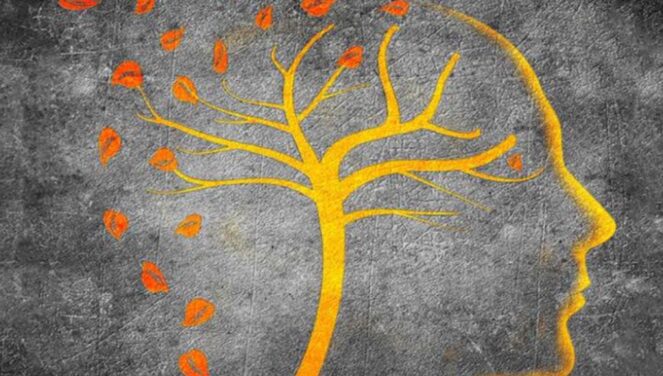 jeni-me-produktiv-pasdite-kjo-mund-t-ju-rrise-rrezikun-e-demences