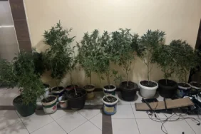 677908046_1260078726302652_1778222665250311999_n (1)