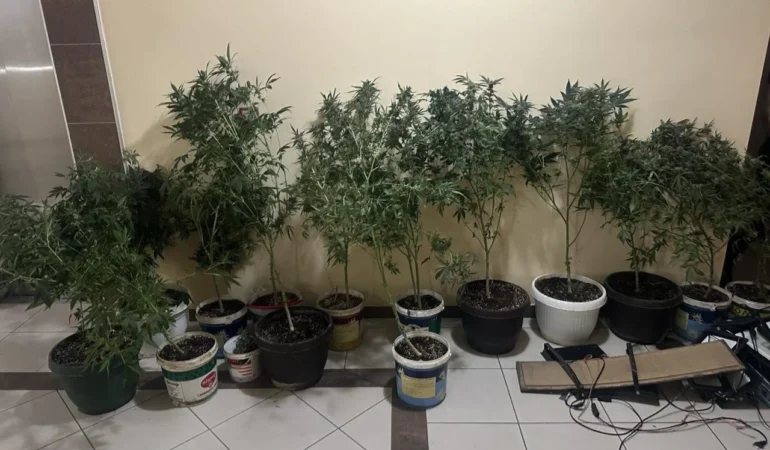 677908046_1260078726302652_1778222665250311999_n (1)