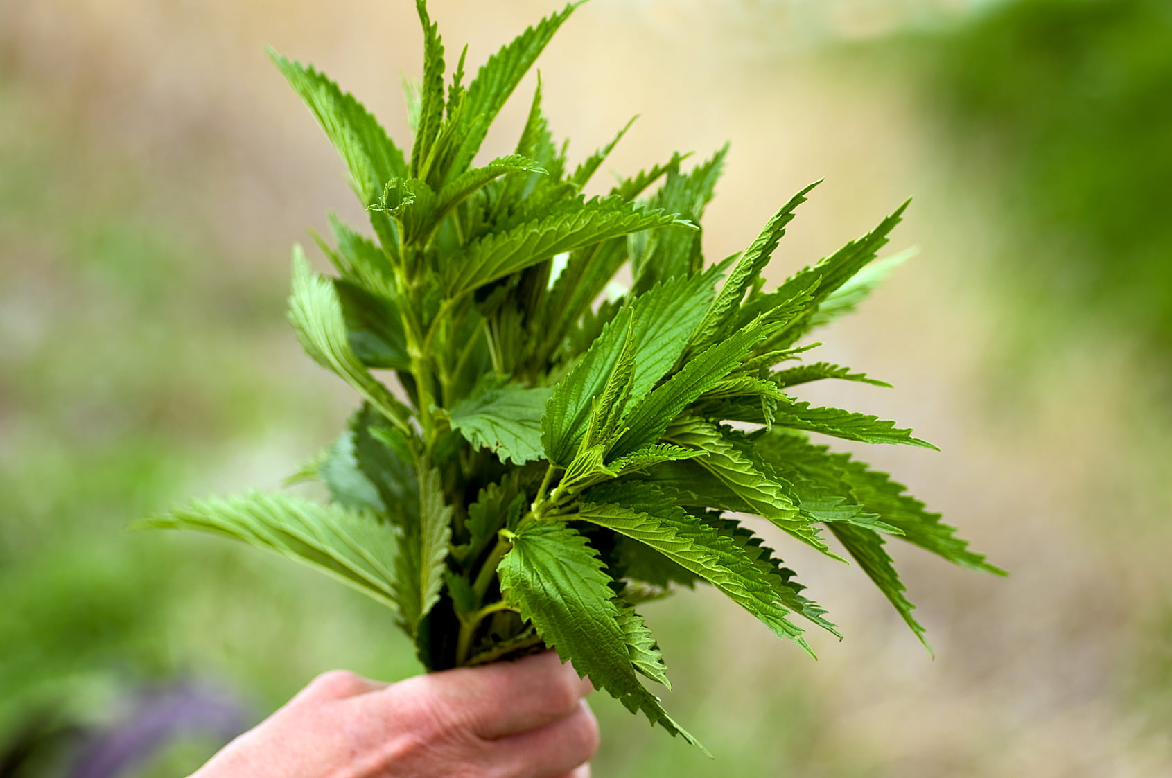 hithra-si-nje-superushqim-si-ta-pergatisni-lehte-ne-shtepi