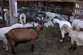 image00040-scaled-e1776253613744