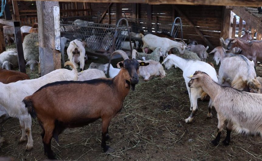 image00040-scaled-e1776253613744