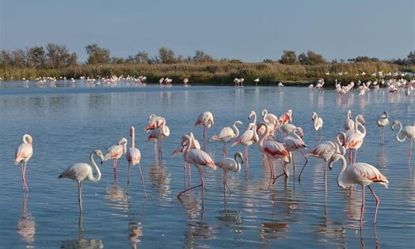 5-arsyet-perse-veriu-i-shqiperise-eshte-destinacioni-i-ardhshem-elitar-i-evropes