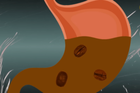 2b71925d748fa823ed3625f61e.png