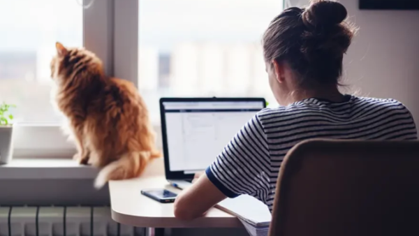 Nga pandemia te rënia, pse shqiptarët po tërhiqen nga platformat online të punës?