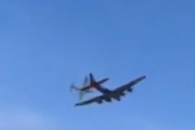 aviponey.jpg