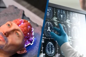 brain-simulation.webp