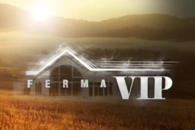ferma.png