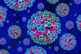 hantavirus_blog-1024x627-1