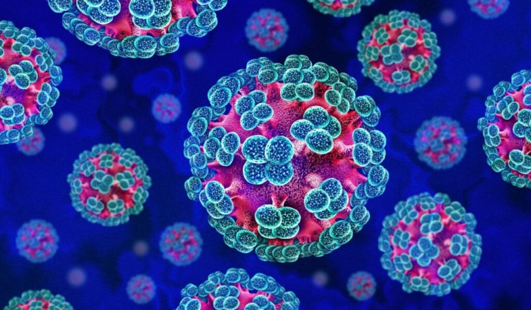 hantavirus_blog-1024x627-1