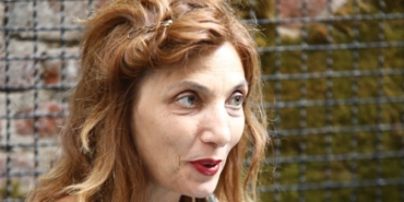 mimoza.png