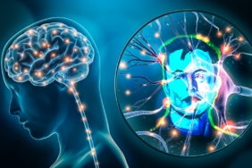 neurology_hd.jpg