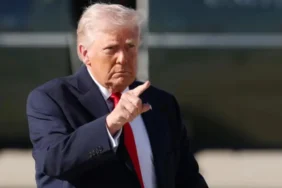 trumpp_sd-2.webp
