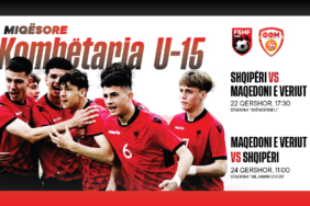 u15.jpg