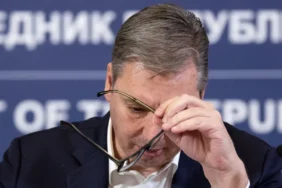 vucic.webp
