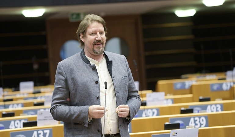 Waitz Report on North Macedonia Presented before MEPs