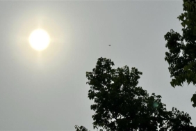 IMG_8337.jpeg