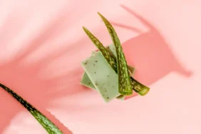 aloe_vera-1296x728-header-1296x728-1.webp