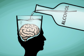 nm-alcohol-and-the-brain-feature.jpg