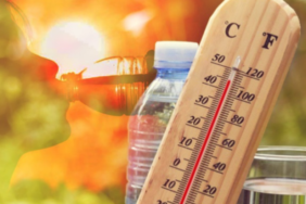 temperatura-te-larta.png