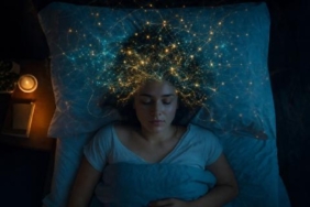 Sonno_Ormone_Crescita_1-1783703285140.jpg-e_l_ormone_della_crescita_a_dire_al_cervello_quando_e_ora_di_svegliarsi