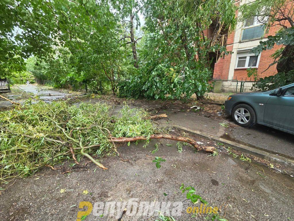 Mickoski urges citizens to report storm damage for reimbursement