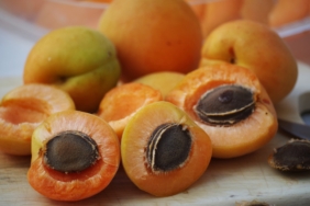 kajsija-apricot.jpg