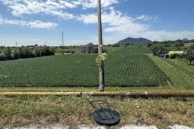 padova-florjan-cani.jpg