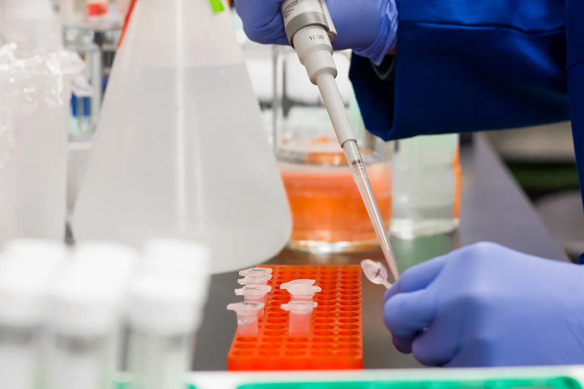 Epidemiologët vlerësojnë se gjendja në Gostivar po përmirësohet