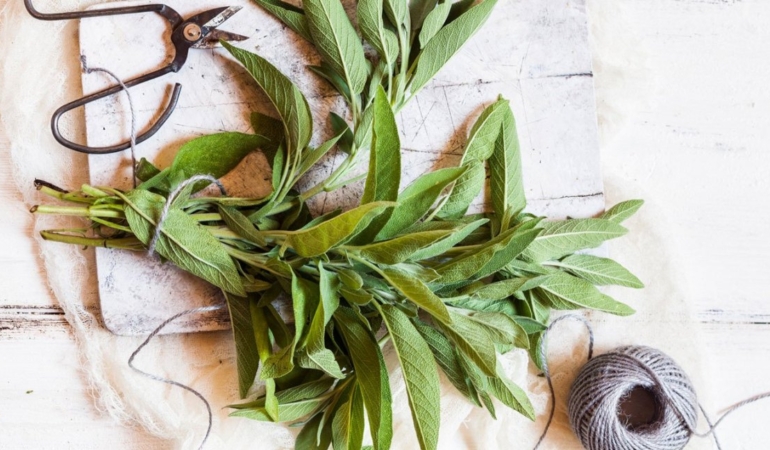 sherbela-sage.jpg