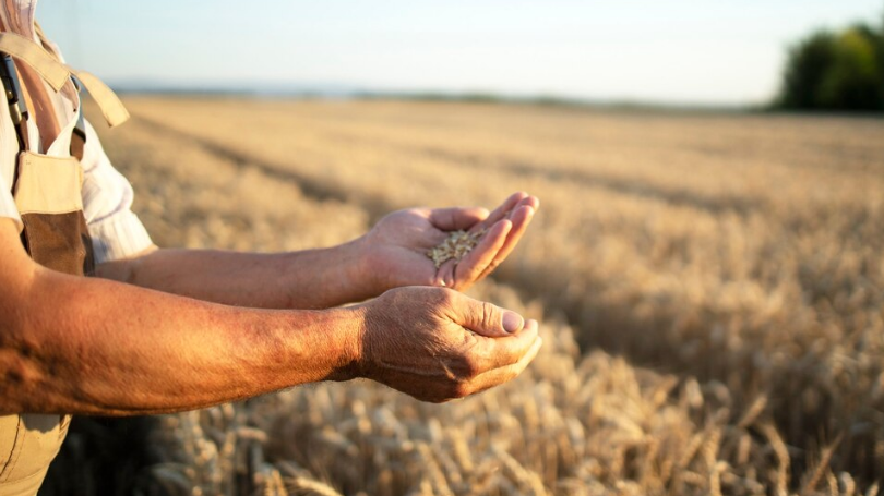 Irrigation systems are 70 percent full – were at just 8 percent two years ago