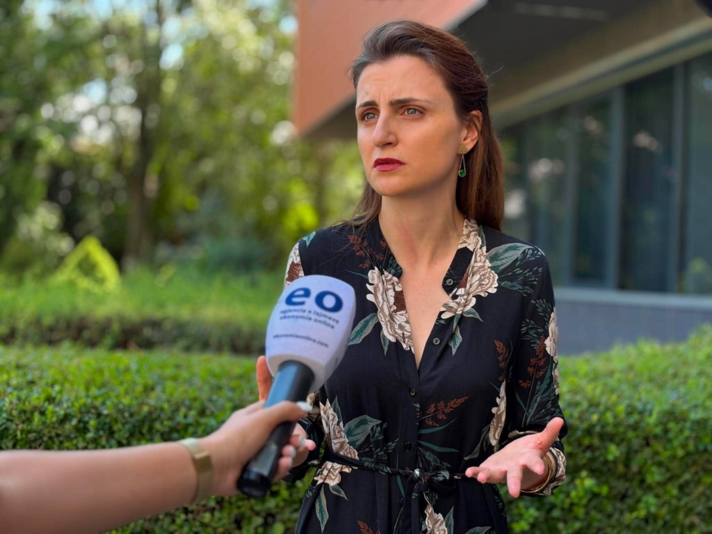 Ymeri: Marrëveshja për thëngjillin me Maqedoninë e Veriut është puro politike