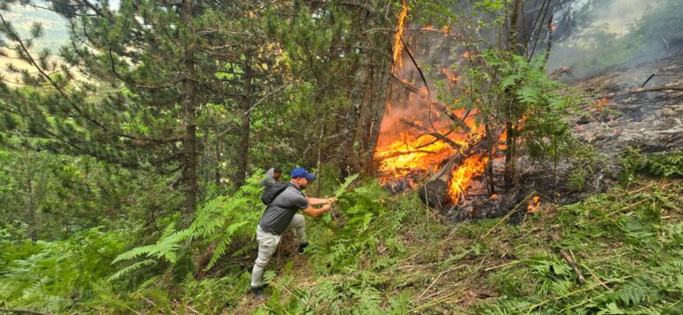 Situatë alarmante në Lurë/ Flakët dalin jashtë kontrollit, zjarri u afrohet rrezikshëm shtëpive
