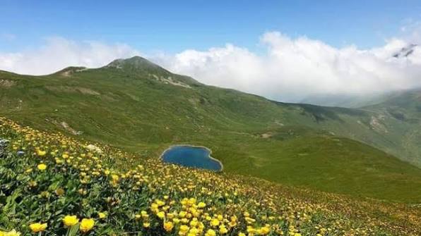 Ndalimi i lëvizjes në pyje zgjatet deri më 30 shtator, për shkak të rrezikut të shtuar nga zjarret