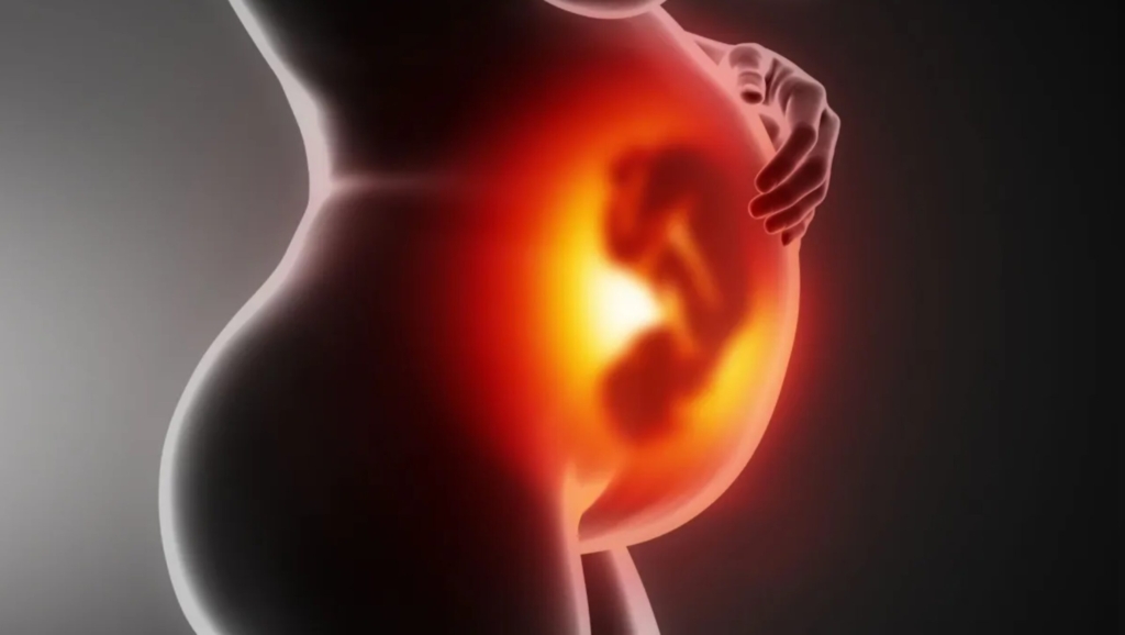 A mund të shpjegojë placenta një pjesë të rrezikut për autizëm?