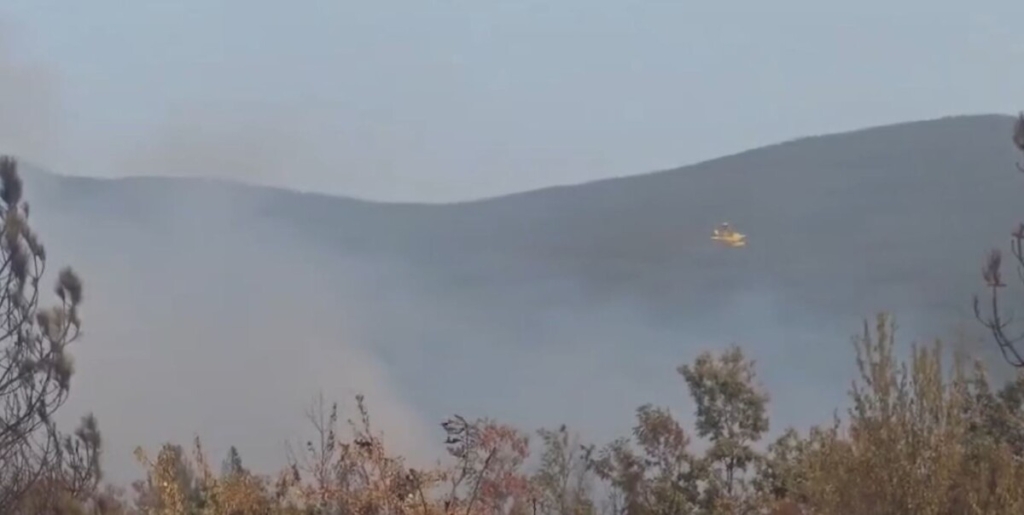 Zjarret në vend nuk ndalen, vatra të reja në disa rajone! Angellov: Mbi 41 zjarre në një ditë, situata mbetet alarmante