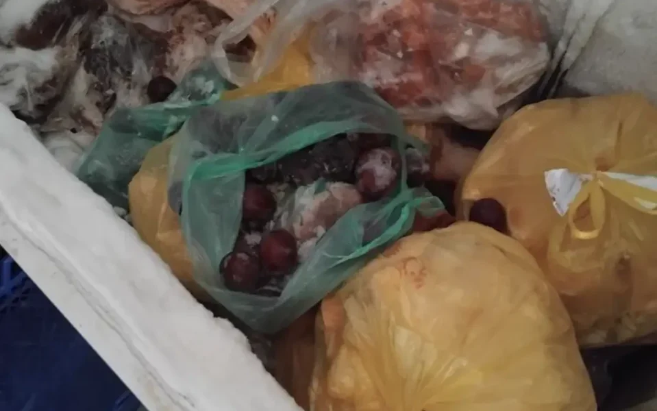 Sekuestrohen rreth dy tonë mish i pasigurt, do të shkatërrohen në “Drislla”